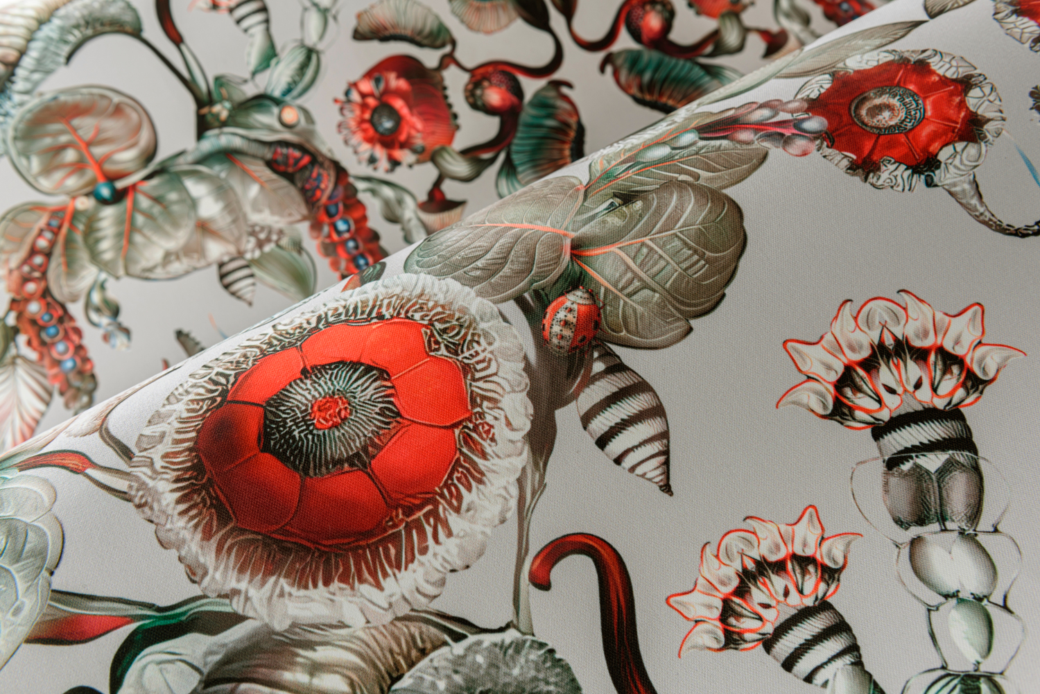Tapete Coccinella Bella - Stone Grey