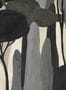 17984_03_Coordonné_Camécuaro_C00055-174648