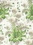 19106_04_Anna_French_Dahlia_AT24538-187387