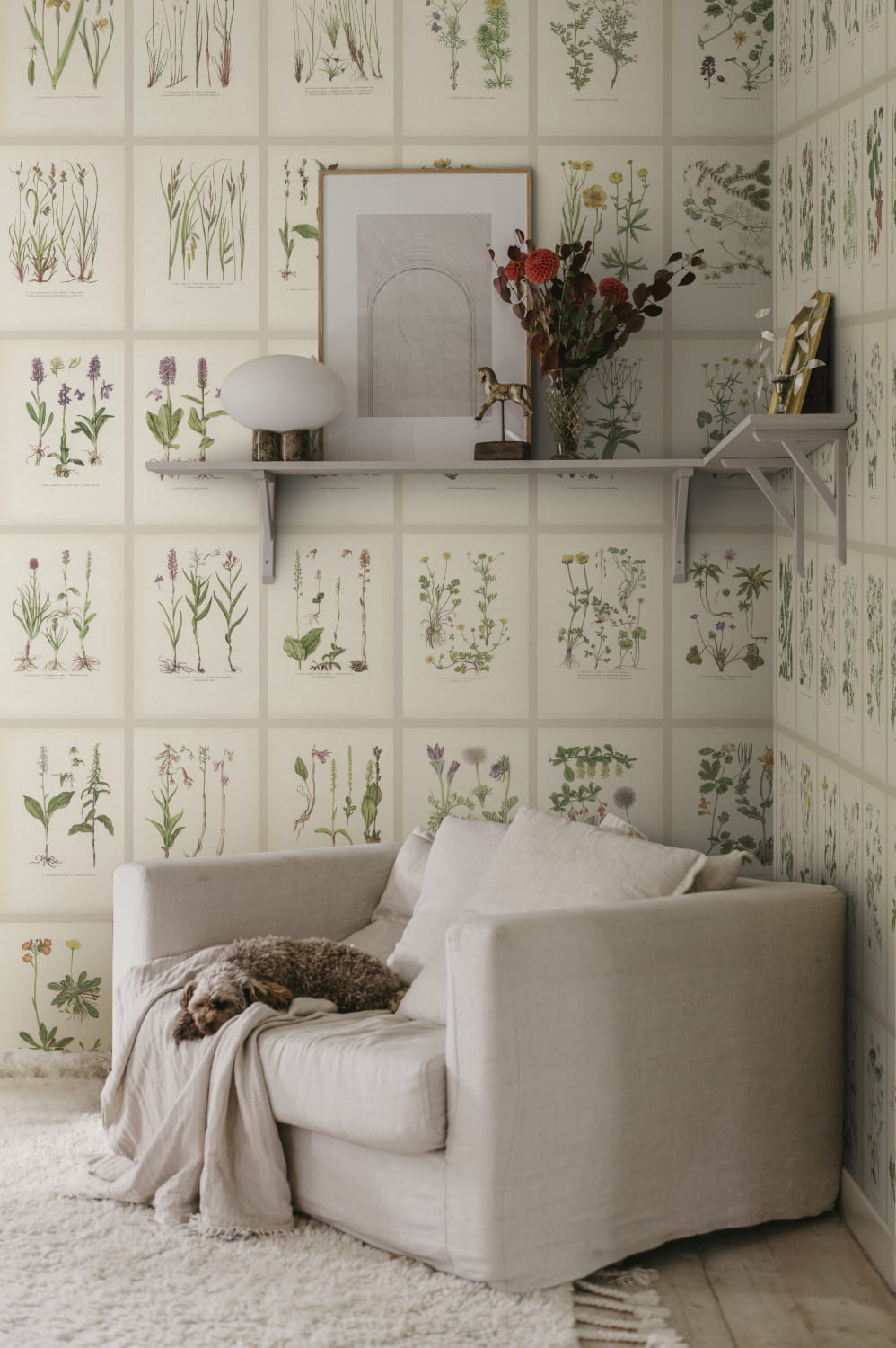 Wandbild Botanica - Oat