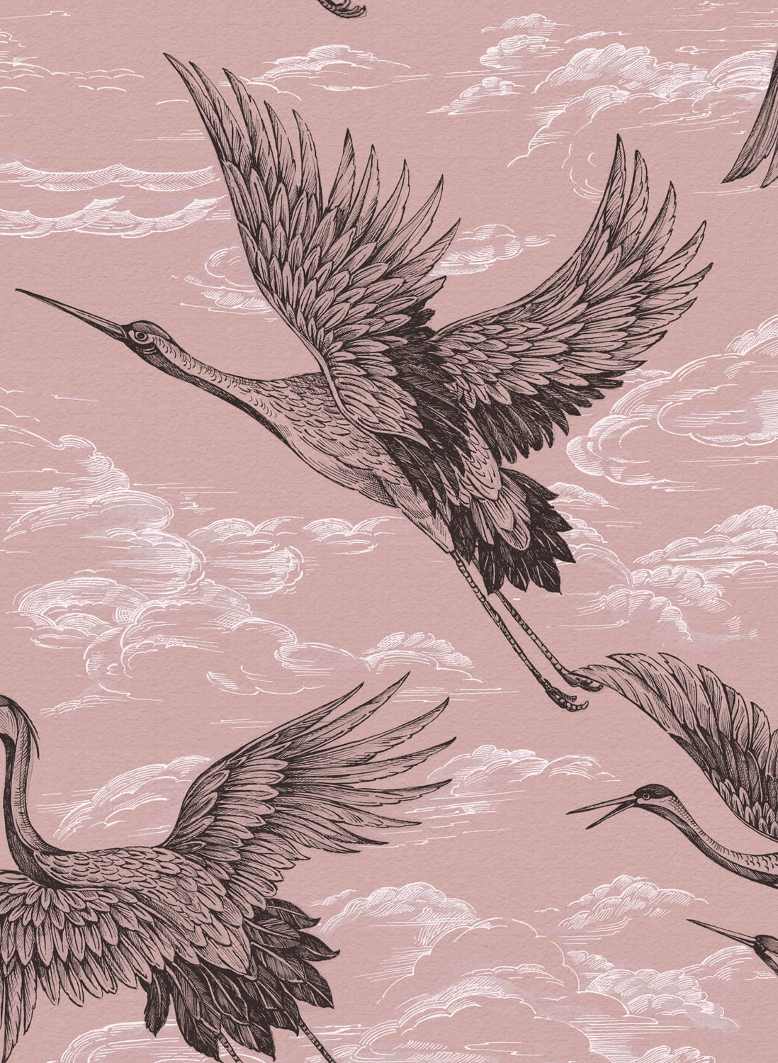 Tapete Imperial Ibis - Rose