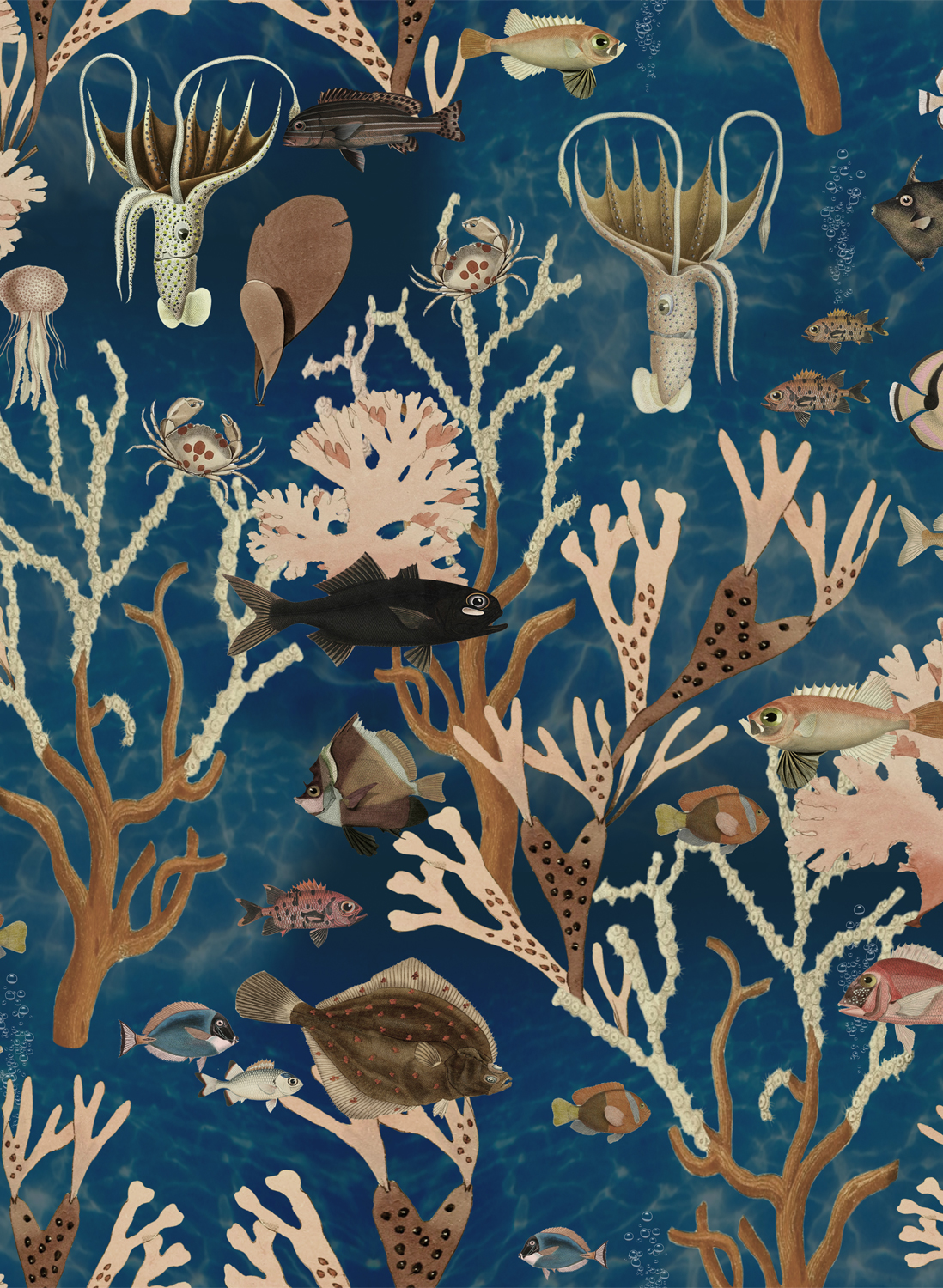 Tapete Aquarium - Ocean