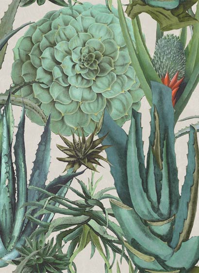 Tapete Succulentus - WP20168