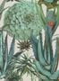 3452_2_mindthegap_succulentus_wp20168-29550