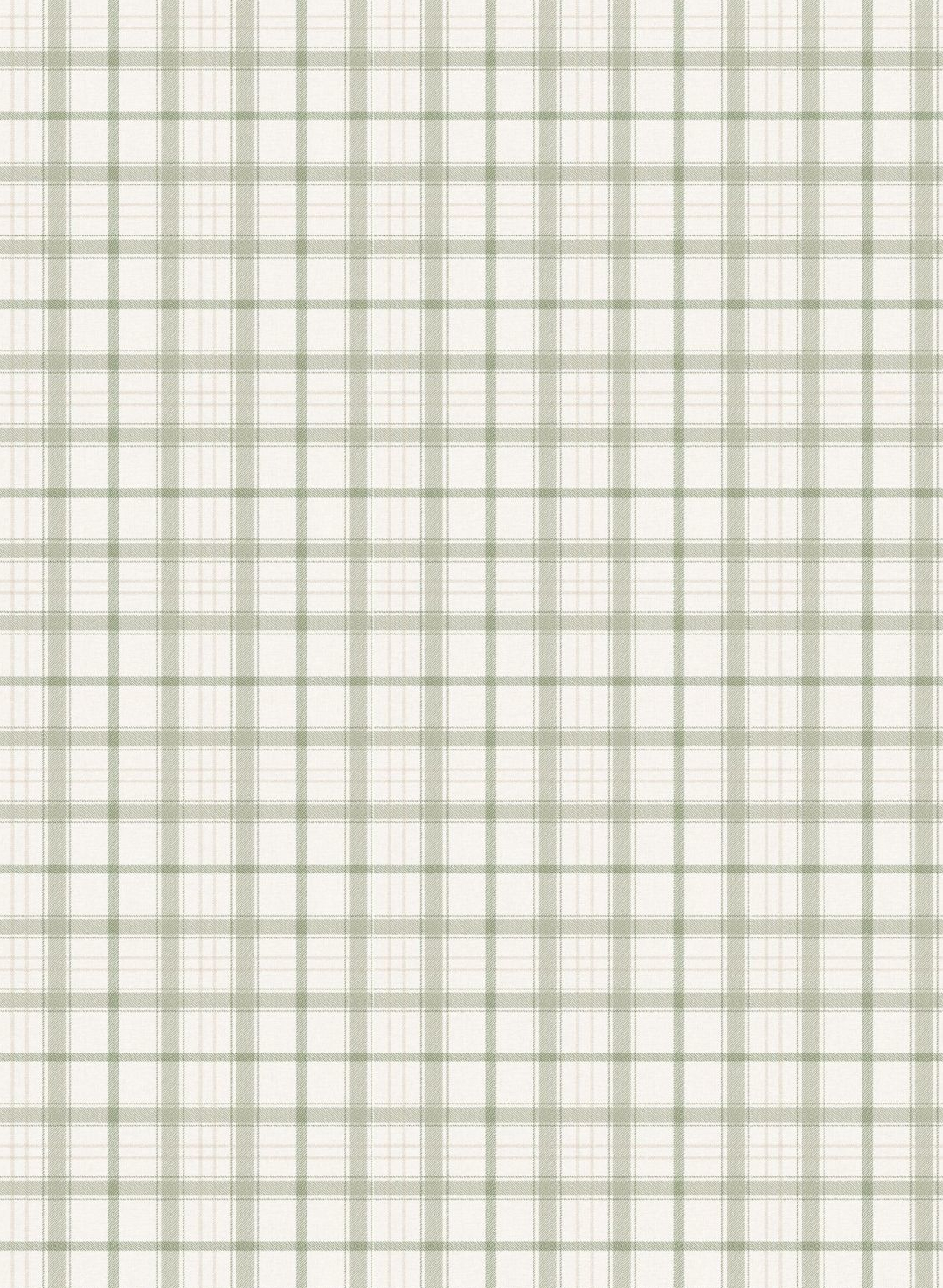 Tapete Check 11.5 - Matcha