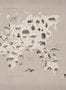 6926_2_Rebel_Walls_Animal_World_R18442-89189