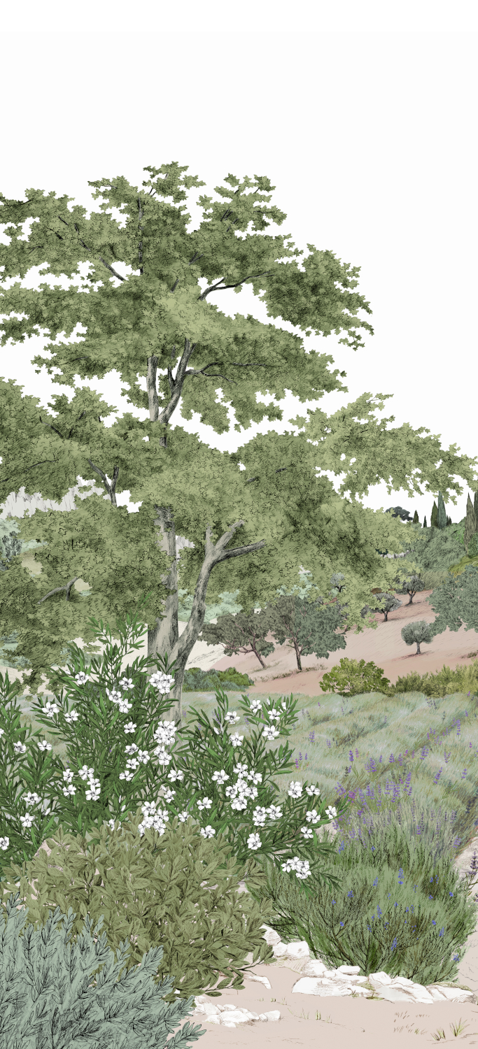Wandbild Provence - Printemps Panel A