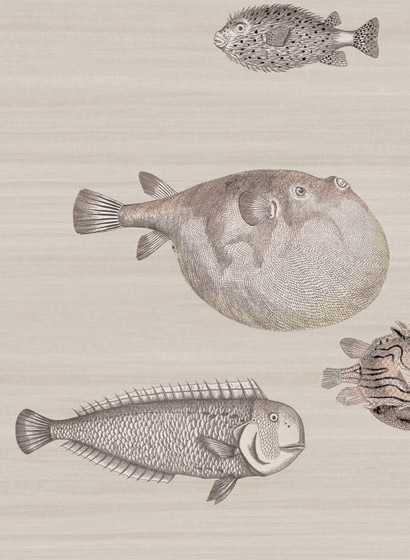 Tapete Acquario - Softbeige