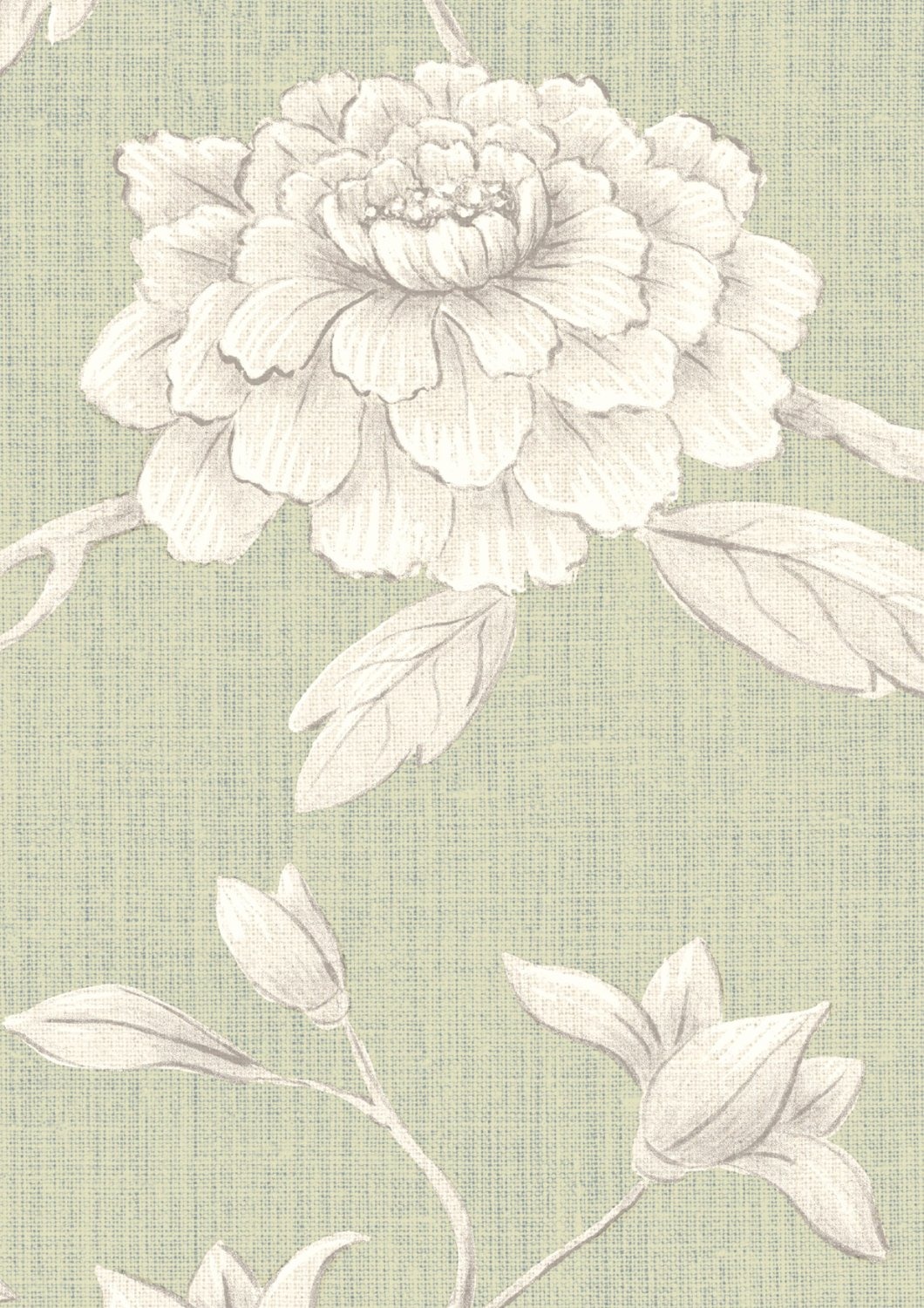 Wallpaper Jasper Peony - Eau de Nil