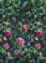 9456_1_Designers-Guild_Gertrude-Rose_PDG1154-01-94322