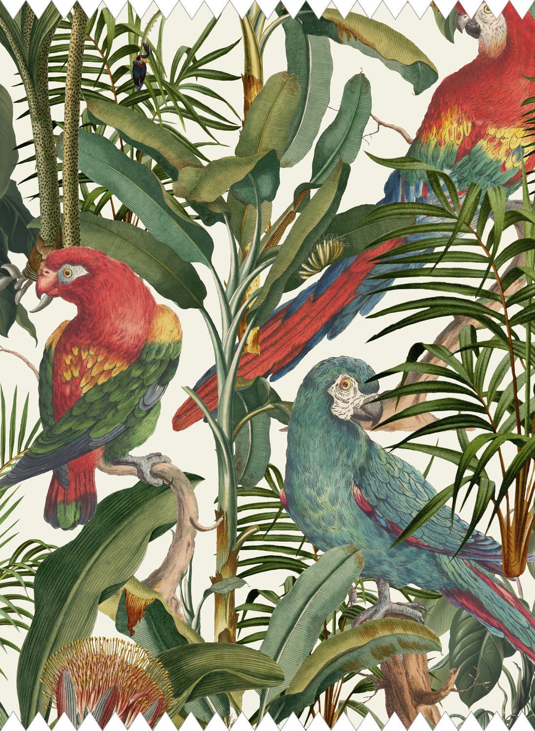 Fabric Parrots of Brasil - Linen