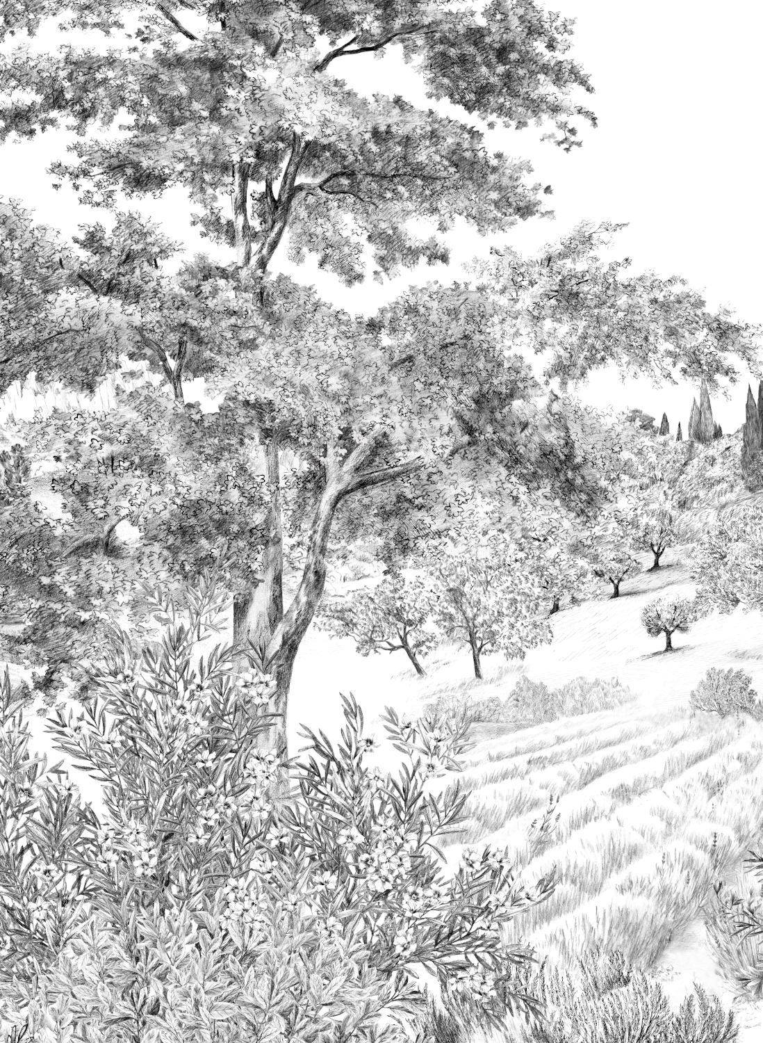 Wandbild Provence - Grisaille Panel D