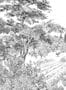 15396_04_Isidore_Leroy_Provence_6266705-181619