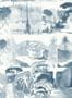4698_1_paintandpaper_tresco_abbey_gardens_blue_blood_0393agblueb-58190