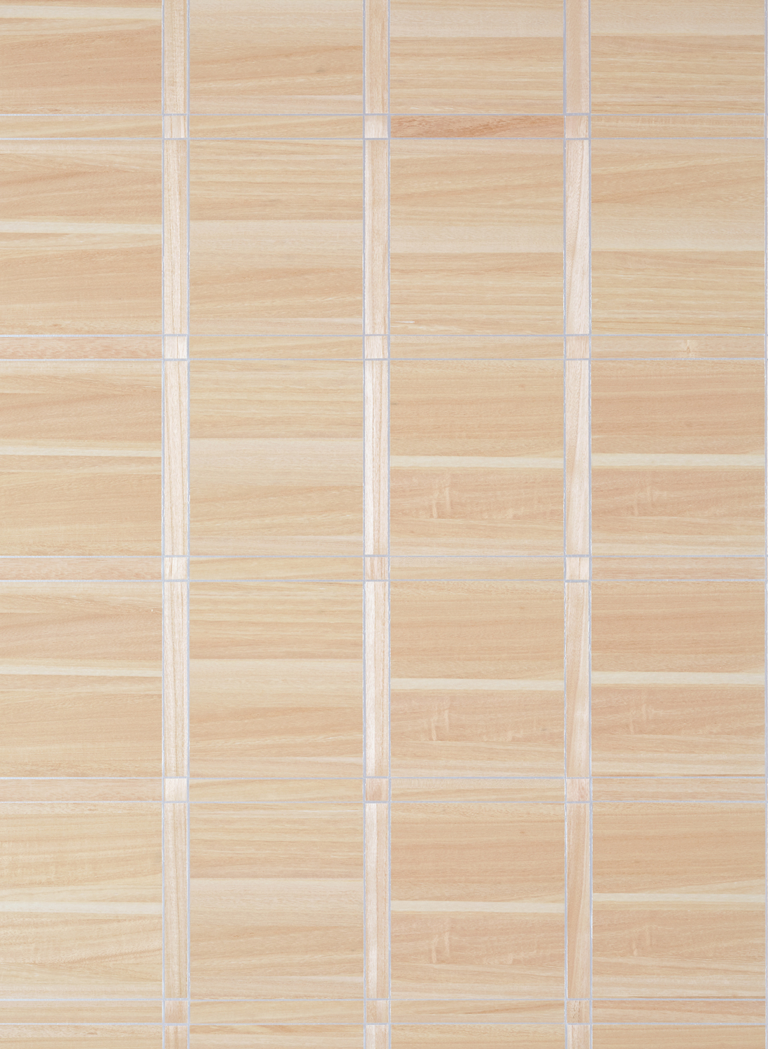 Tapete Wood Panel - Natural and Metallic Silver