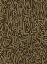 6807_1_Harlequin_Melodic_112829-87923