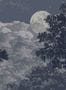 6744_2_Isidore-Leroy_Eclipse-Clair-Obscur_6246655-81485