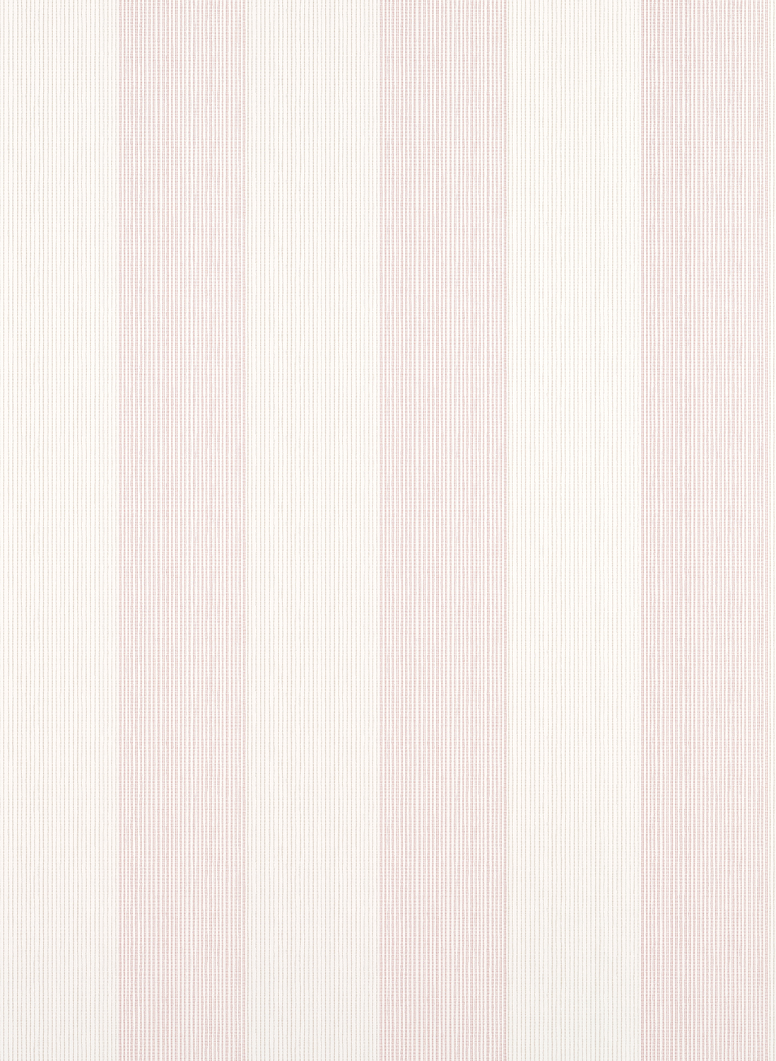 Tapete Evan Stripe - Blush
