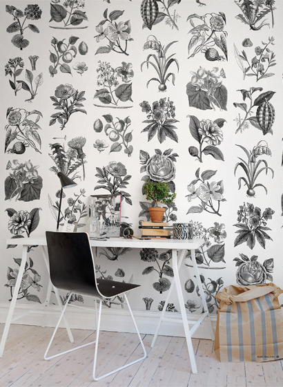 Wandbild Fruit & Flora