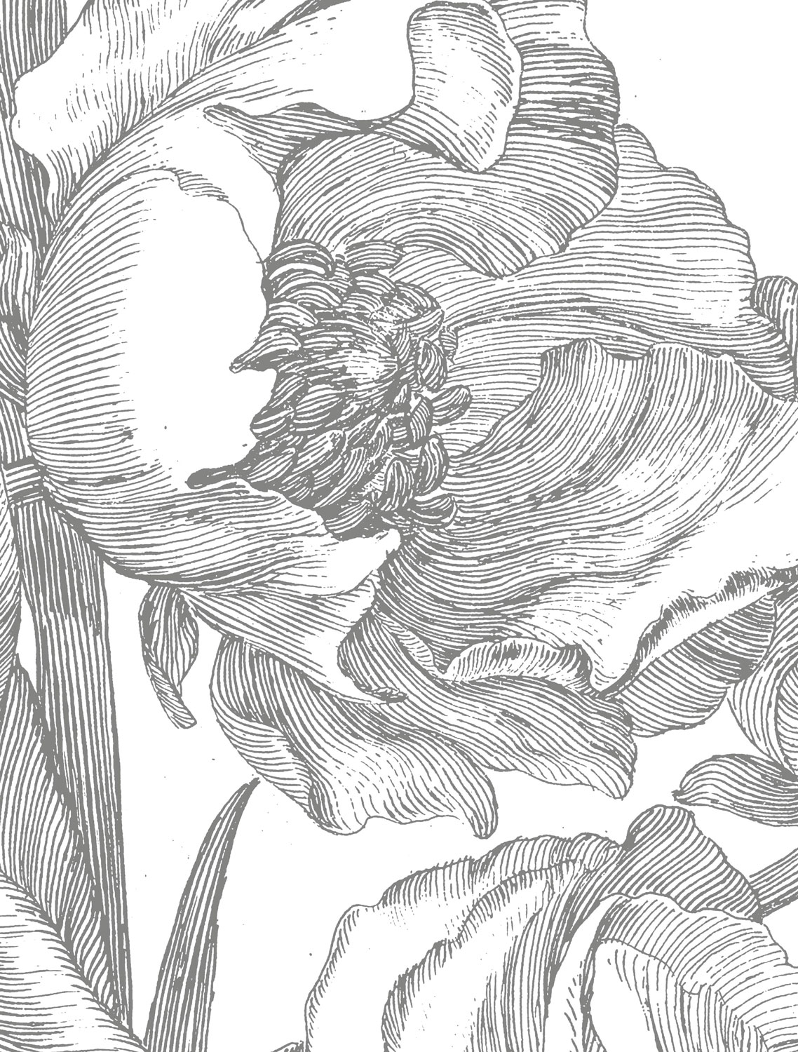 Wandbild Engraved Flowers 4 Circle - M - 1.9m