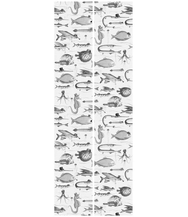 Tapete Dandy Fish - WP-803
