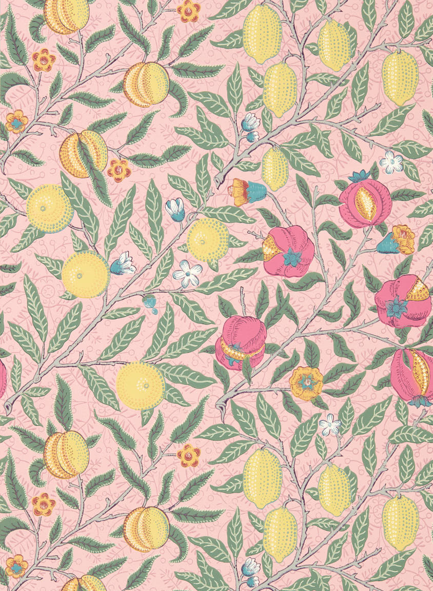 Tapete Fruit - Stardust