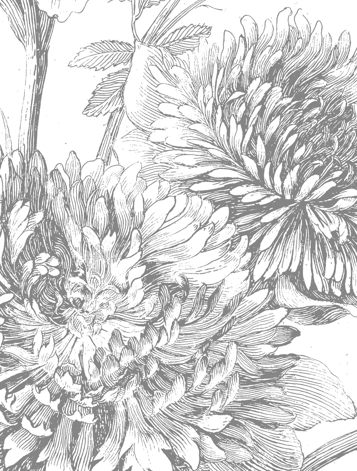 Wandbild Engraved Flowers 2 Circle - M - 1.9m