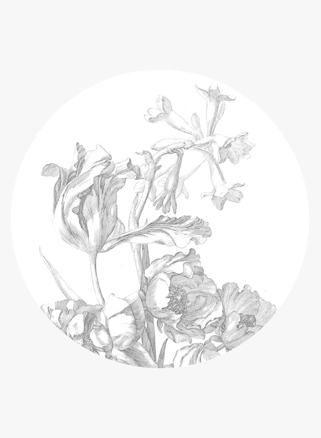 Wandbild Engraved Flowers 4 Circle - L - 2.375m