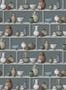 5825_3_Osborne_and_Little_Tapete_Raku-66916