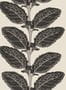 18734_03_Thibaut_Lacinato_T12038-187565