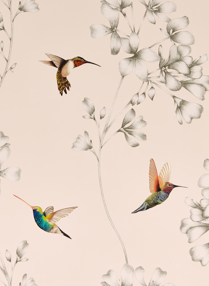Tapete Amazilia - Powder/ Pearl