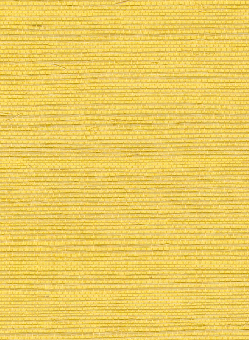 Tapete Sisal - RM 1069 21