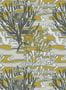 7362_4_Nobilis_Coringa_COS250-67708