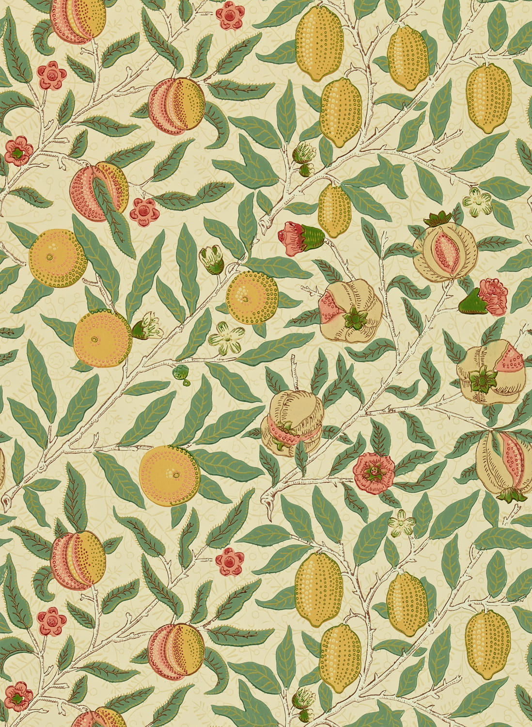 Tapete Fruit - Beige/ Gold/ Coral