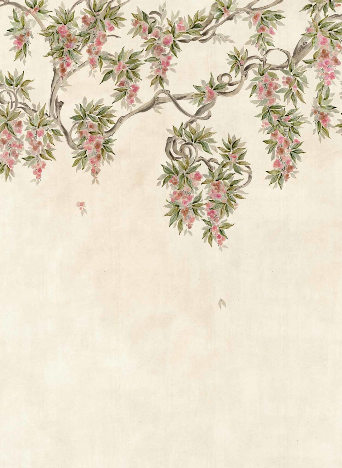 Wandbild Abril - Rosado