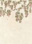 18225_03_Coordonne_Abril_YSP0641_-196086