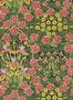 16073-1-Morris-and-Co-Campanula-MVOW217350-125199
