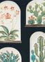 5178_4_sanderson_terrariums_216658-54587
