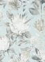 5175_3_sanderson_king-protea_216645-54559