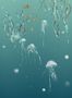 4470_2_edmond-petit_meduses-droit_turquise_rm111-02-53764