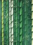 2970_1_osborne_little_bamboo_w7025-01-27654