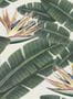 3216_1_mindthegap_tropical-bloom_wp20096-28718
