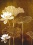 8577_1_Coordonne_Wandbild_Nympha_9602000-70292