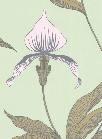 Tapete Orchid - Mint/ Hellrosa