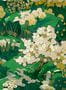 14696_4_Coordonne_Yu_Garden_B00148N-116966