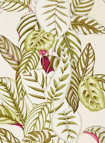 Tapete Calathea - Olive
