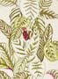 5171_3_sanderson_calathea_216631-54529