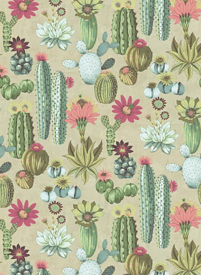 Tapete Cacti - 384605