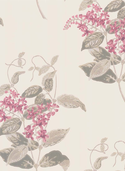 Tapete Madras Violet - Pink