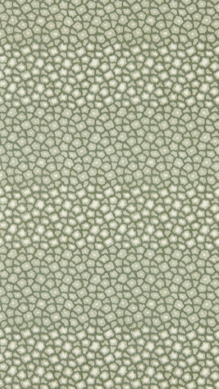 Tapete Loam - Evergreen